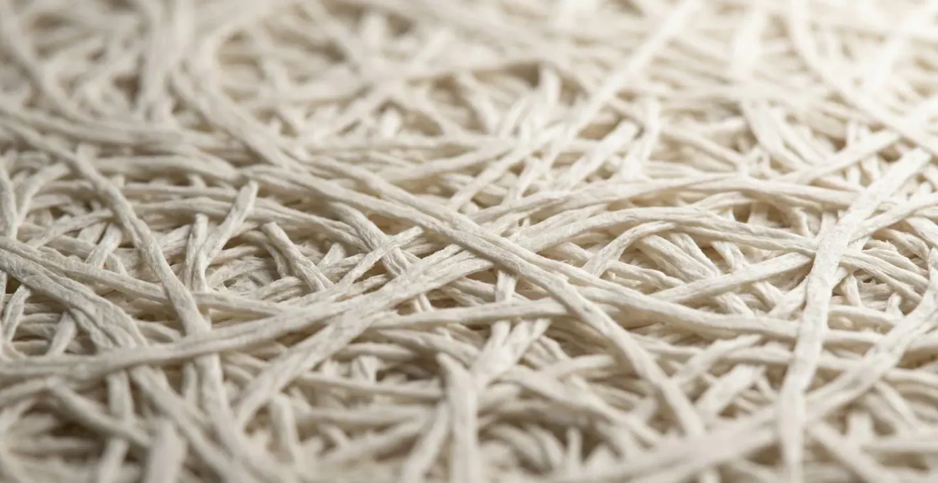 Vue macro de fibres de papier certifié montrant leur structure régulière